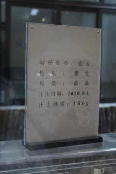 20180827_161652_0019